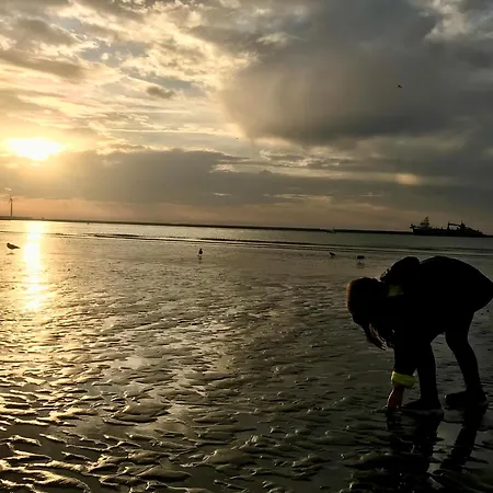 شقة Le Baron Bucaille Face A La 300 M De Nausicaa *