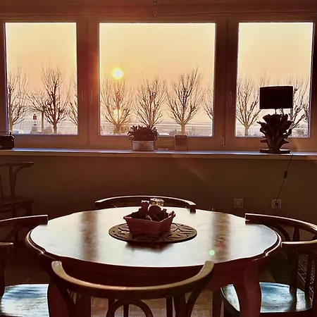 Le Baron Bucaille Face A La 300 M De Nausicaa *